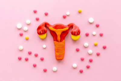 女性健康理念——女性子宫和卵巢的药物模型