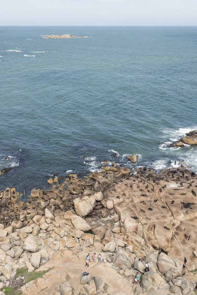卡波波尼奥海岸鸟瞰图。在岩石海岸上的南美海狮、南海狮和南美海狮