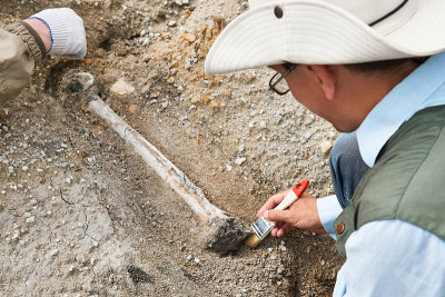 archaeologist in a field expedition cleans excavat