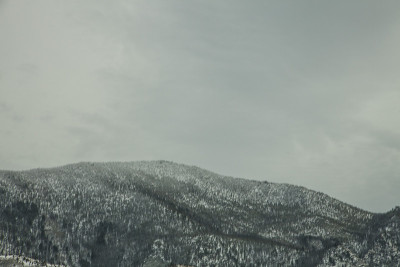 白雪覆盖的森林山