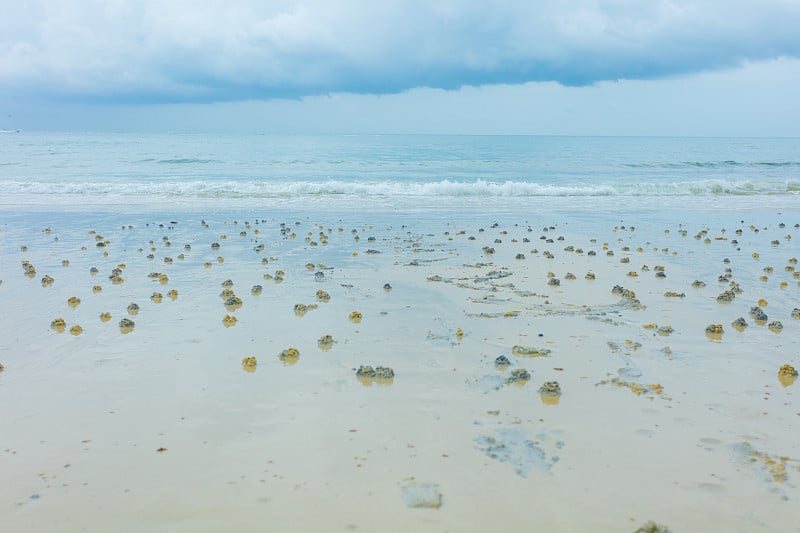 神秘的沙滩海岸线