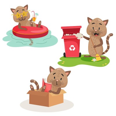 猫的活动3