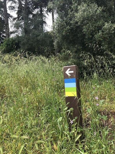 明智地选择你的道路