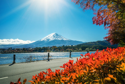 富士山秋色，日本