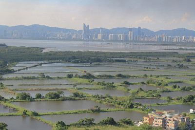 2014年6月1日，香港元朗