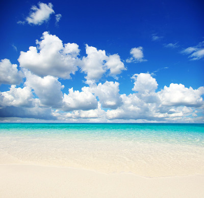 海