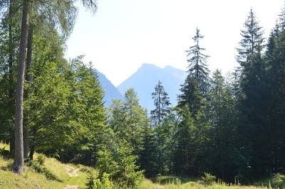 近Ruhpolding