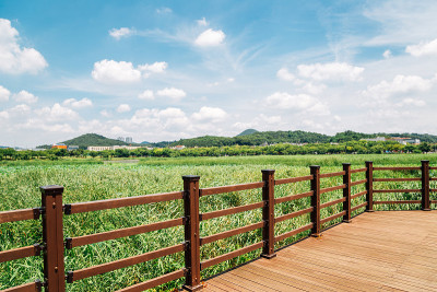 韩国安山花郎娱乐公园的夏天