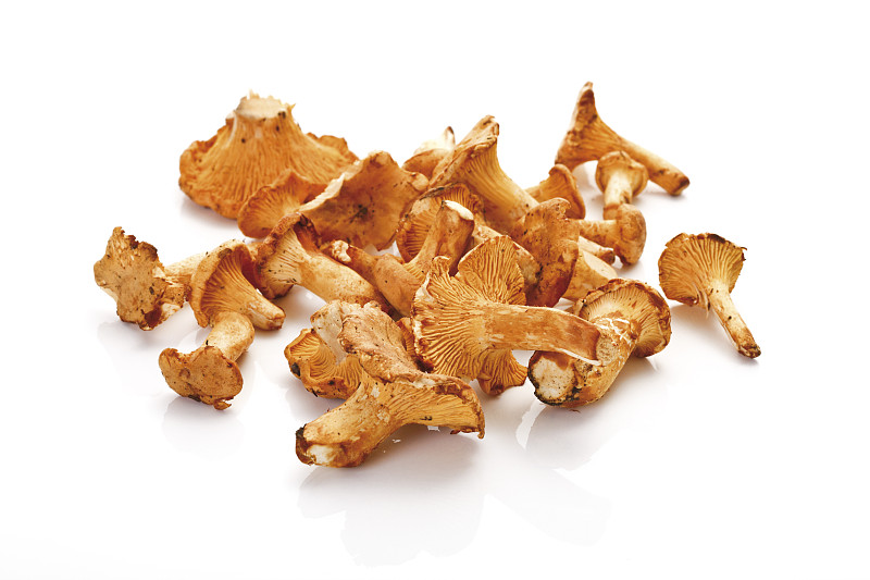 Raw chanterelles