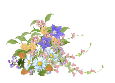 水彩鲜花花束