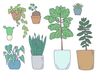 室内植物设置孤立的轮廓与彩色插图矢量