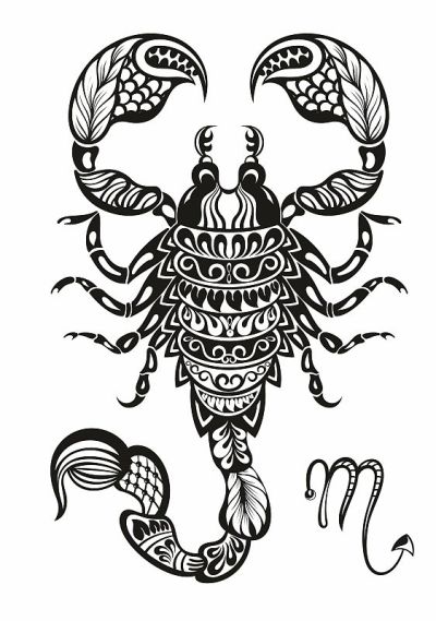 蝎子插图