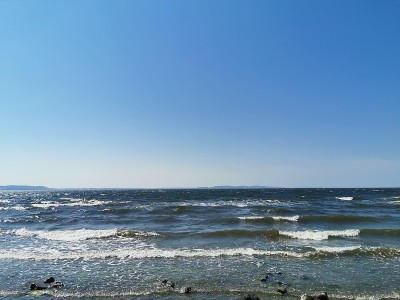海滩