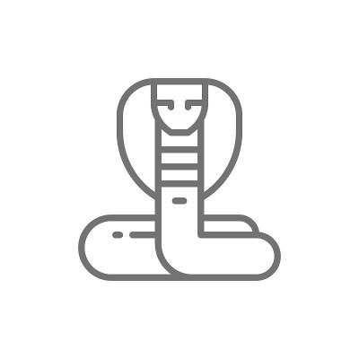 眼镜蛇，蛇线图标。在白色背景上隔离