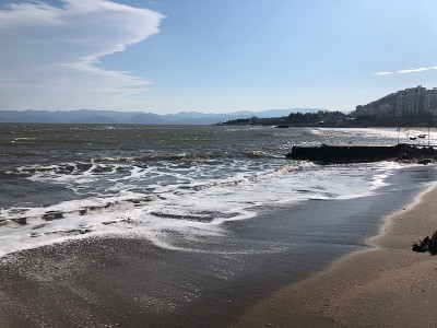 靠海的码头，座位和住所