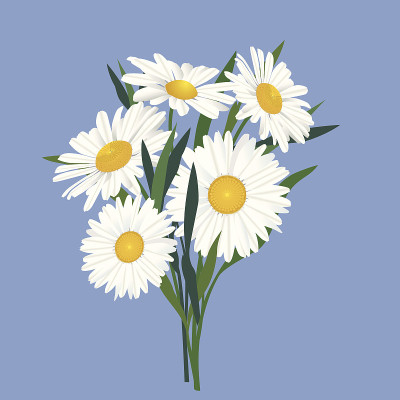 花洋甘菊花束