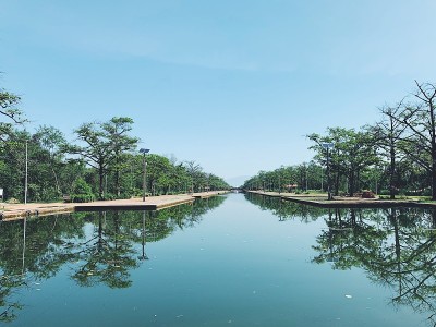 平静的水