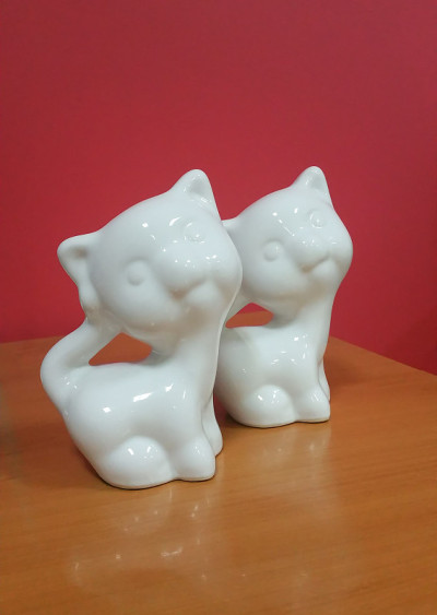 两个白色的猫