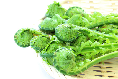 山地蔬菜(kogomi)