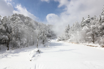 美丽的冬季高山白雪覆盖的景观。壮丽而静谧的晴天。(韩国江原道御田山国家公园)
