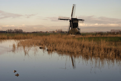 风车的Broekmolen