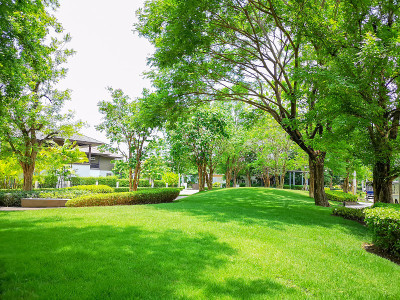 清新、绿色的地毯、草坪、平整的花园草坪，以一排排的灌木和树木为背景，在蓝天下悉心维护着房子的景观