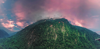 景观绿色的植被在山上与粉红色和雾在山顶