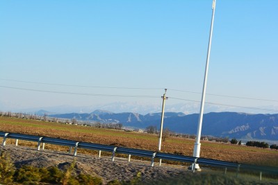 山