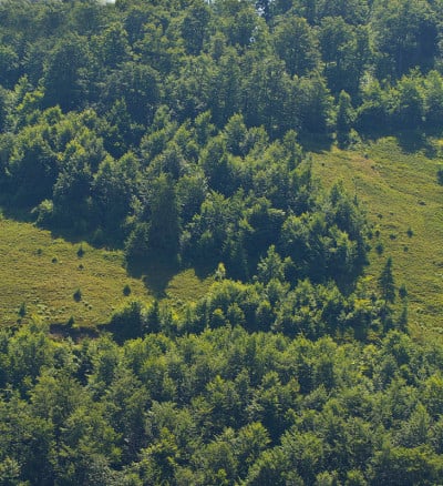山景观