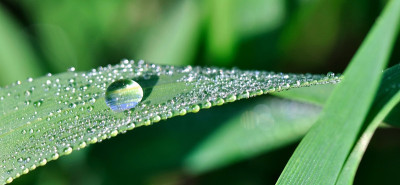 雨滴