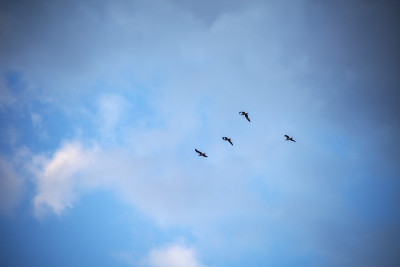 天空