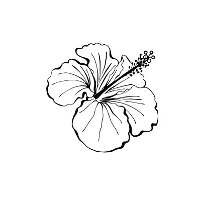 木槿的花、芽、叶为设计元素