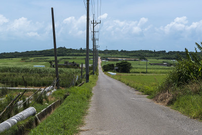 糖路(小浜岛/冲绳小浜岛)