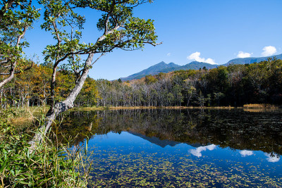 知床五湖(知床五湖)[第五湖]和知床山与秋叶，知床，北海道，日本