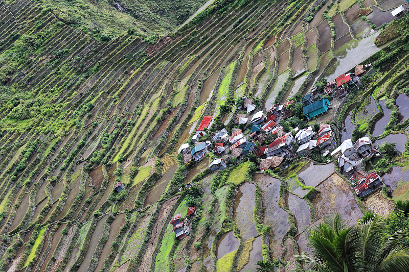 Batad村-从小屋地区看大米梯田。Banaue-Ifugao-Luzon-Phlippines。0