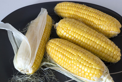 生玉米