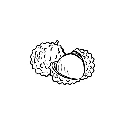 荔枝，矢量画水果草图