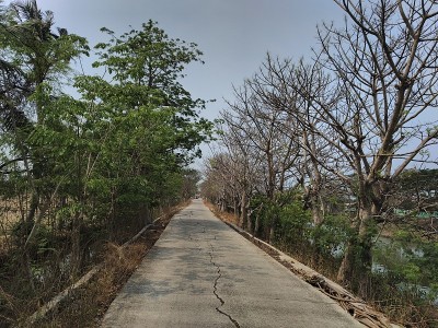 孤独的路