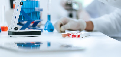 一组科学家在实验室的背景图像