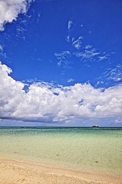 海滩及热带海