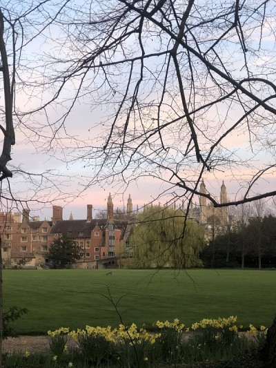 剑桥支持学院大学