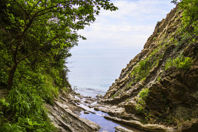 黑海海岸