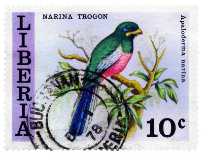 利比里亚邮票上的Narina Trogon