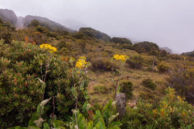 在Cerro de la Muerte，哥斯达黎加，泛美的最高点。这座山属于塔拉曼卡山脉。