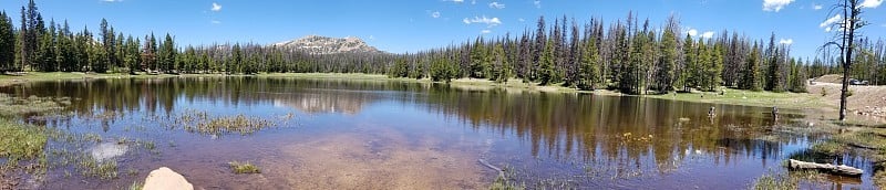 莉莉湖全景