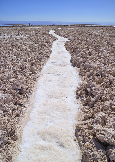 阿塔卡马Salar de Atacama，智利北部的智利盐滩，阿法尔游客的剪影