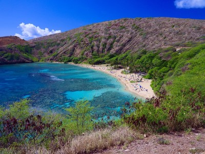 夏威夷海滩的颜色为蓝绿色和绿色