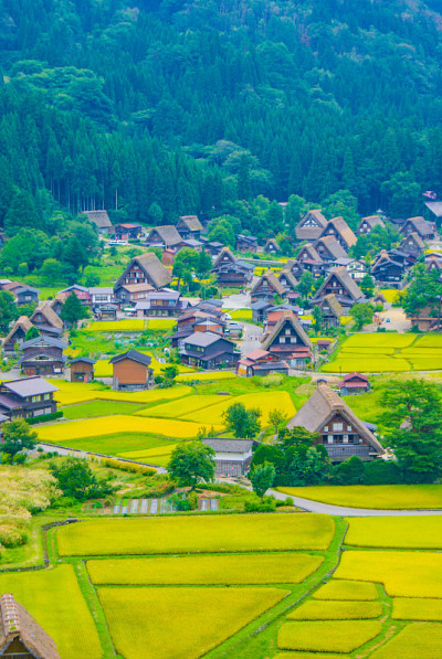 白川县天际线(岐阜县高山)