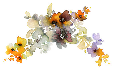 鲜花水彩插图
