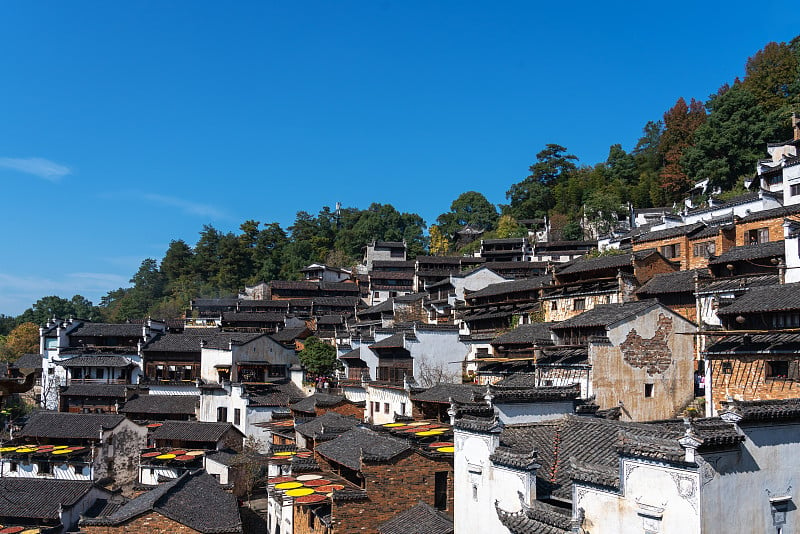 春天黄色油菜地、油菜花盛开的婺源县景观。它靠近黄山。它很安静。人们把它称为中国最美丽的村庄。